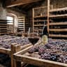 Amarone della Valpolicella