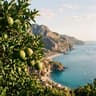 Bergamotto di Reggio Calabria