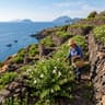 Cappero delle Isole Eolie