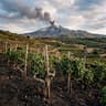 Vino Etna